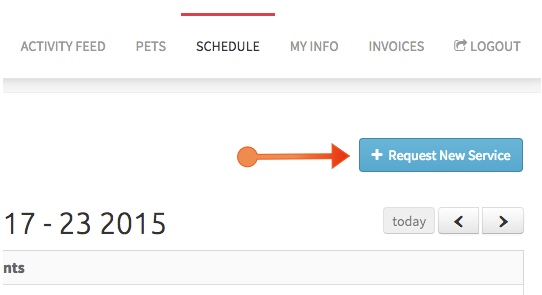 Request New Service button